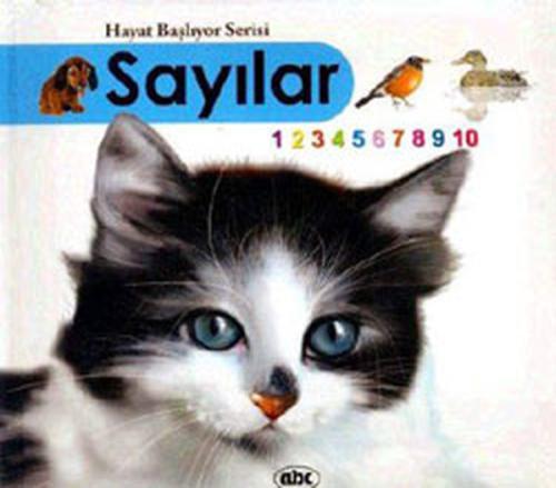 Sayılar (Kitap + İnteraktif CDRom) (Ciltli) | Kitap Ambarı
