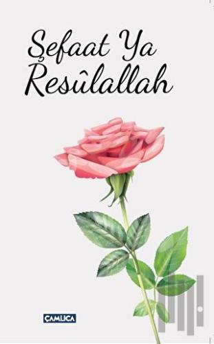 Şefaat Ya Resulallah (2 Kitap Takım)