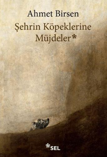 Şehrin Köpeklerine Müjdeler