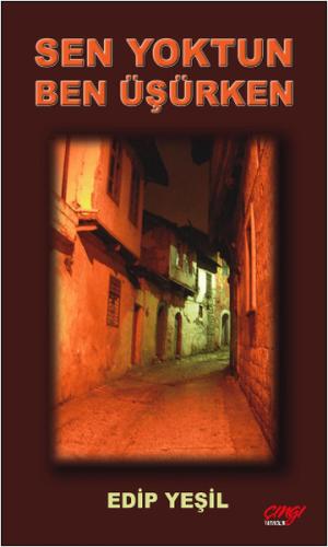 Sen Yoktun Ben Üşürken