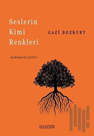 Seslerin Kimi Renkleri