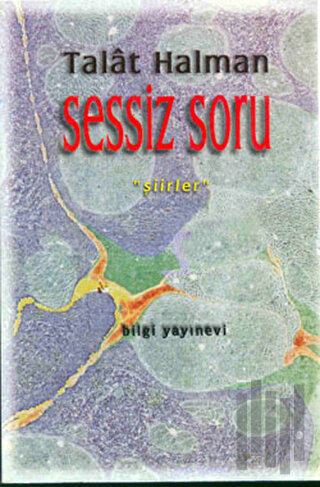 Sessiz Soru