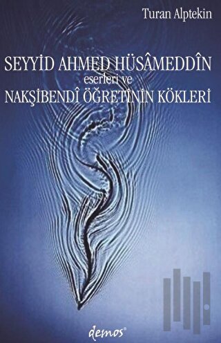 Seyyid Ahmed Hüsameddin Eserleri ve Nakşibendi Öğretinin Kökleri | Kit