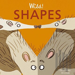 Shapes (Ciltli) | Kitap Ambarı