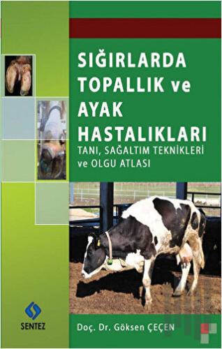 Sığırlarda Topallık ve Ayak Hastalıkları