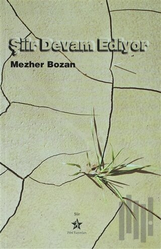 Şiir Devam Ediyor