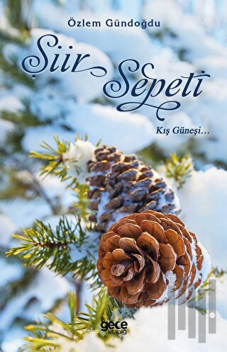 Şiir Sepeti 5 - Kış Güneşi