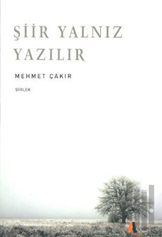 Şiir Yalnız Yazılır