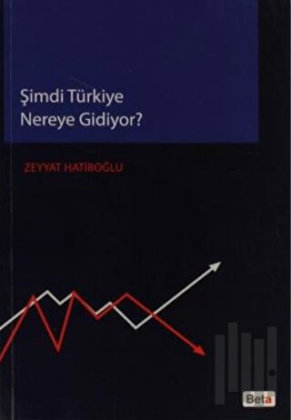 Şimdi Türkiye Nereye Gidiyor
