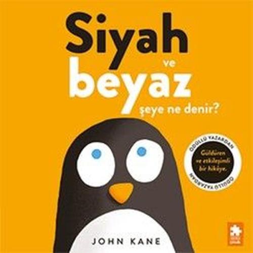Siyah ve Beyaz Şeye Ne Denir? | Kitap Ambarı