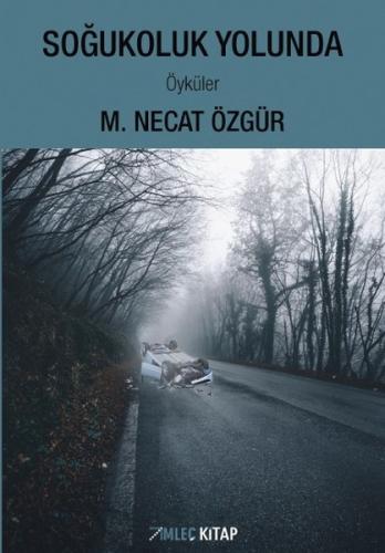 Soğukoluk Yolunda | Kitap Ambarı