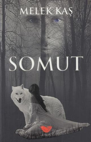Somut | Kitap Ambarı