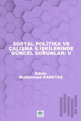 Sosyal Politika ve Çalışma İlişkilerinde Güncel Sorunlar: V
