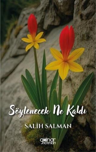 Söylenecek Ne Kaldı | Kitap Ambarı