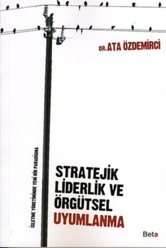 Stratejik Liderlik ve Örgütsel Uyumlanma | Kitap Ambarı