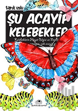 Şu Acayip Kelebekler | Kitap Ambarı