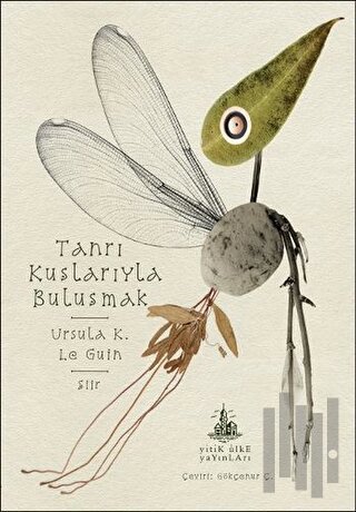 Tanrı Kuşlarıyla Buluşmak | Kitap Ambarı