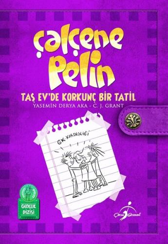 Çalçene Pelin : Taş Ev'de Korkunç Bir Tatil | Kitap Ambarı
