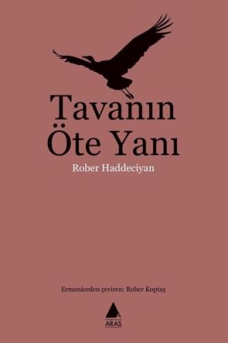 Tavanın Öte Yanı | Kitap Ambarı