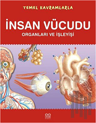 Temel Kavramlarla - İnsan Vücudu Organları ve İşleyişi