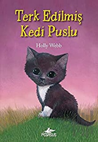 Terk Edilmiş Kedi Puslu | Kitap Ambarı