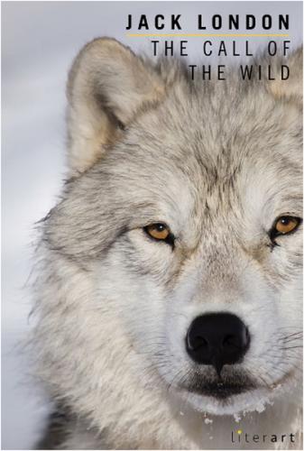 The Call Of The Wild | Kitap Ambarı