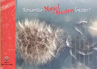 Tohumlar Nasıl ve Neden Gezer?