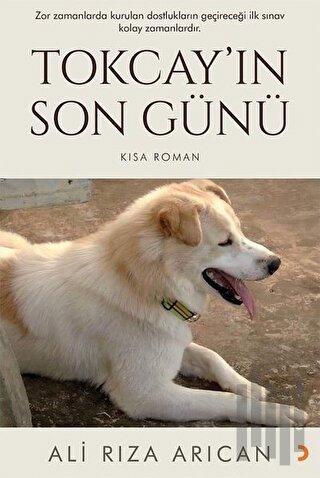 Tokcay’ın Son Günü | Kitap Ambarı