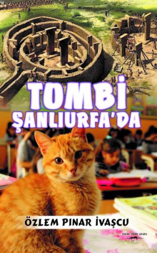 Tombi Şanlıurfa'da