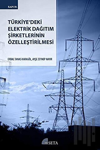 Türkiye'deki Elektrik Dağıtım Şirketlerinin Özelleştirilmesi | Kitap A