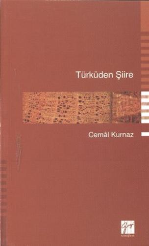 Türküden Şiire | Kitap Ambarı