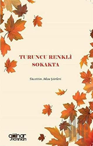 Turuncu Renkli Sokakta