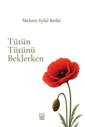 Tütün Tütünü Beklerken | Kitap Ambarı