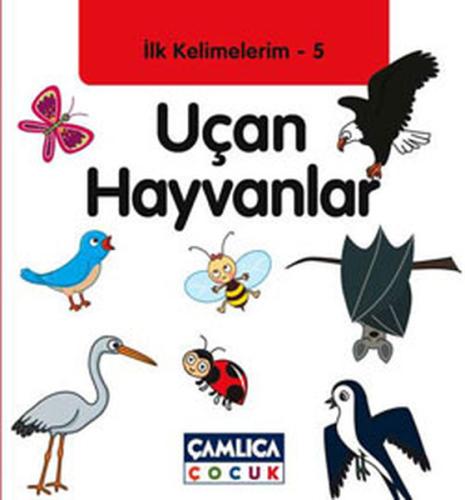 Uçan Hayvanlar / İlk Kelimelerim -5 | Kitap Ambarı