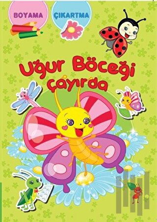 Uğur Böceği Çayırda