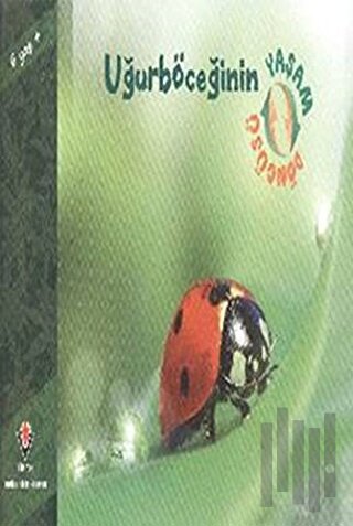 Uğurböceğinin Yaşam Döngüsü | Kitap Ambarı