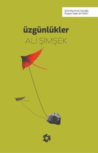 Üzgünlükler