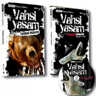 Vahşi Yaşam-Tehlikeli Etoburlar