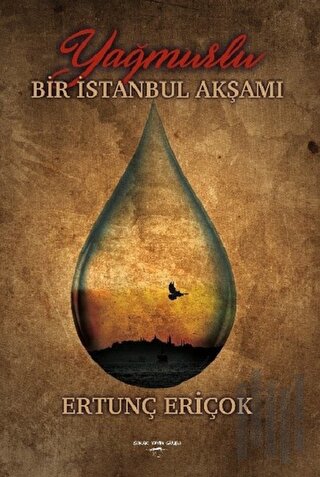 Yağmurlu Bir İstanbul Akşamı | Kitap Ambarı
