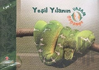 Yeşil Yılanın Yaşam Döngüsü | Kitap Ambarı