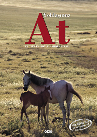 Yoldaşımız At (Ciltli) | Kitap Ambarı