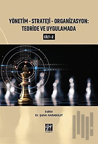 Yönetim-Strateji-Organizasyon: Teoride ve Uygulamada Cilt 2