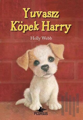 Yuvasız Köpek Harry | Kitap Ambarı