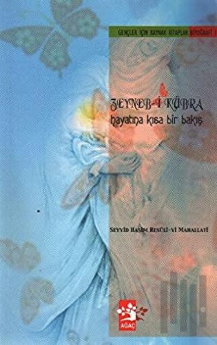 Zeyneb-i Kübra Hayatına Kısa Bir Bakış