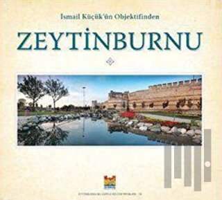Zeytinburnu (Ciltli) | Kitap Ambarı
