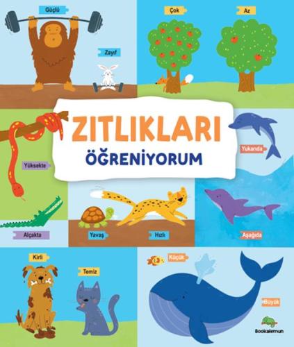Zıtlıkları Öğreniyorum | Kitap Ambarı