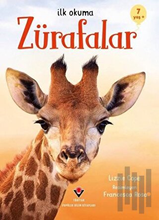 Zürafalar | Kitap Ambarı